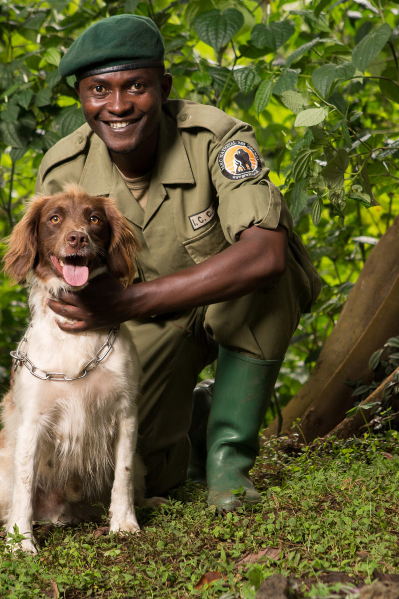 Deeper Africa | Virunga Anti-Poaching Hounds